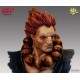 Street Fighter Bust Akuma 25 cm --- DAMAGED PACKAGING